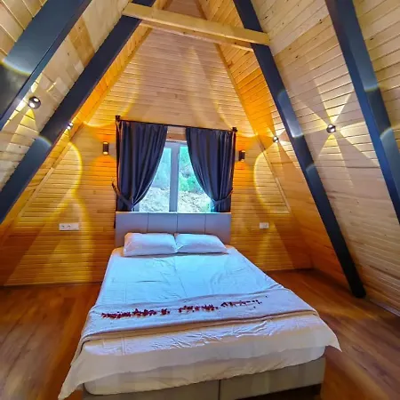 Big Tree Bungalow Villas *